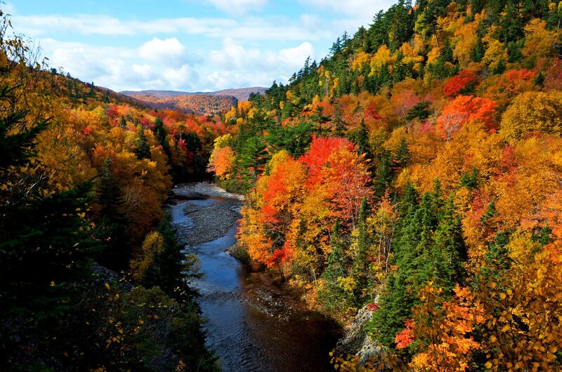 River in Autumn Forest — Red, Serene, Photograph, Trees, Mountains