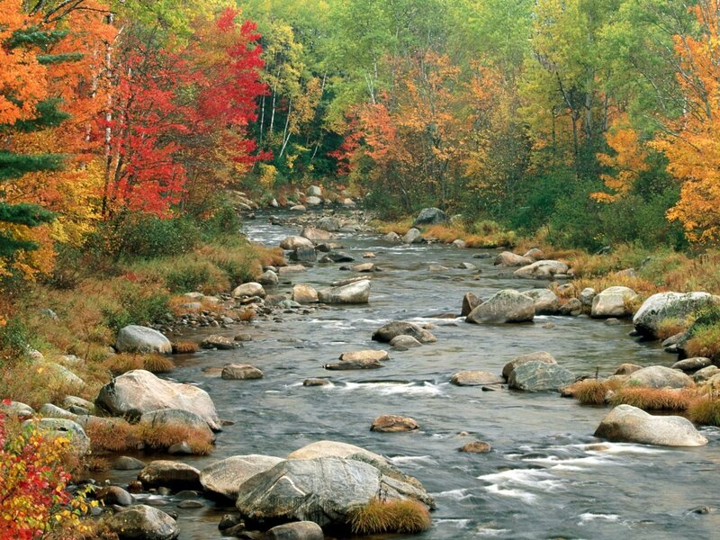 River in Autumn Forest — Red, Serene, Photograph, Trees, Rocks, Stream
