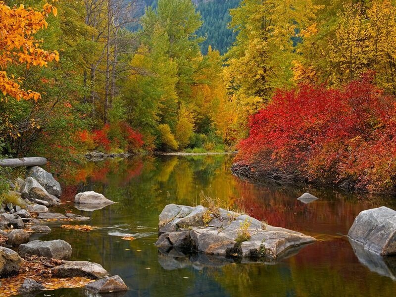 River in Autumn Forest — Red, Serene, Photograph, Trees, Rocks