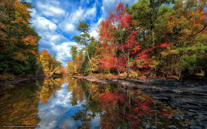 River in Autumn Forest — Red, Serene, Photograph, Trees, Sky, Reflection