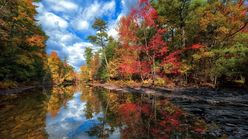 River in Autumn Forest — Red, Serene, Photograph, Trees, Sky