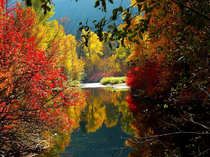 River in Autumn Forest — Red, Serene