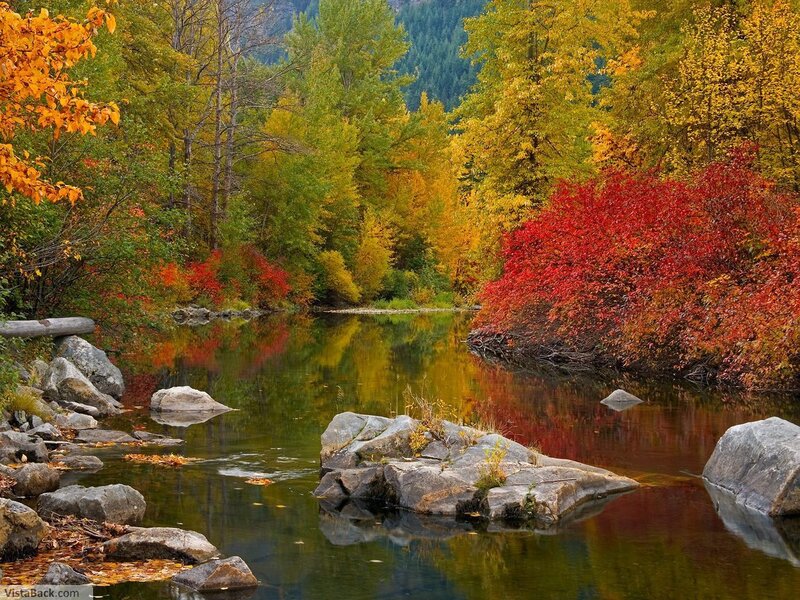 River in Autumn Forest — Red