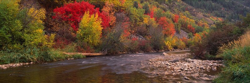 River in Autumn Forest — Stream