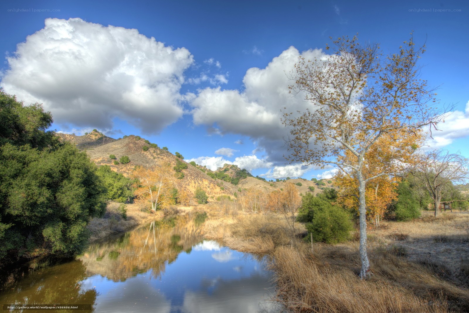 River in autumn landscape