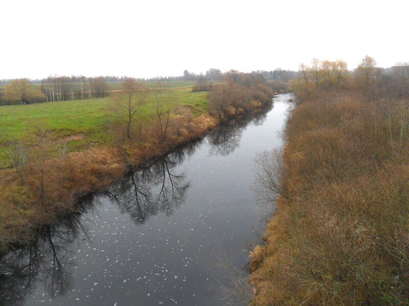 River in autumn landscape