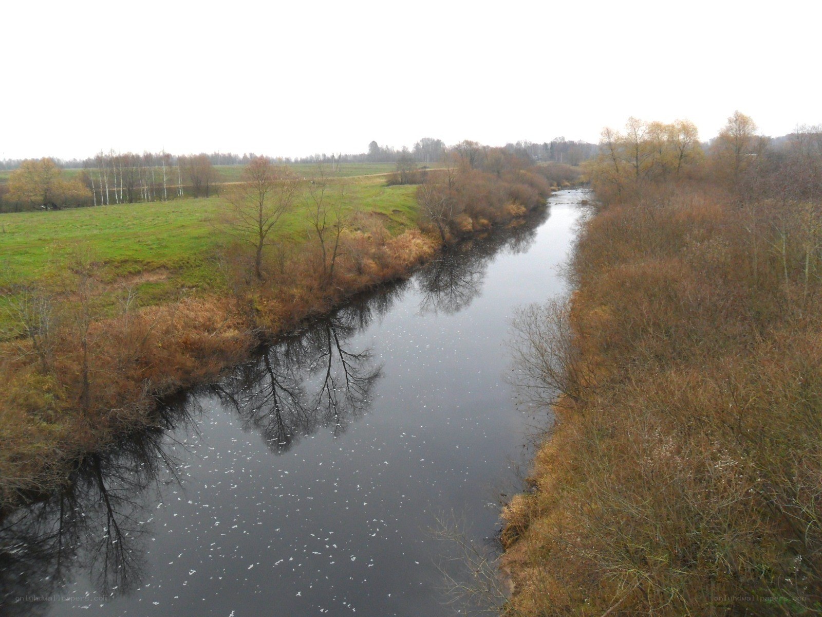 River in autumn landscape