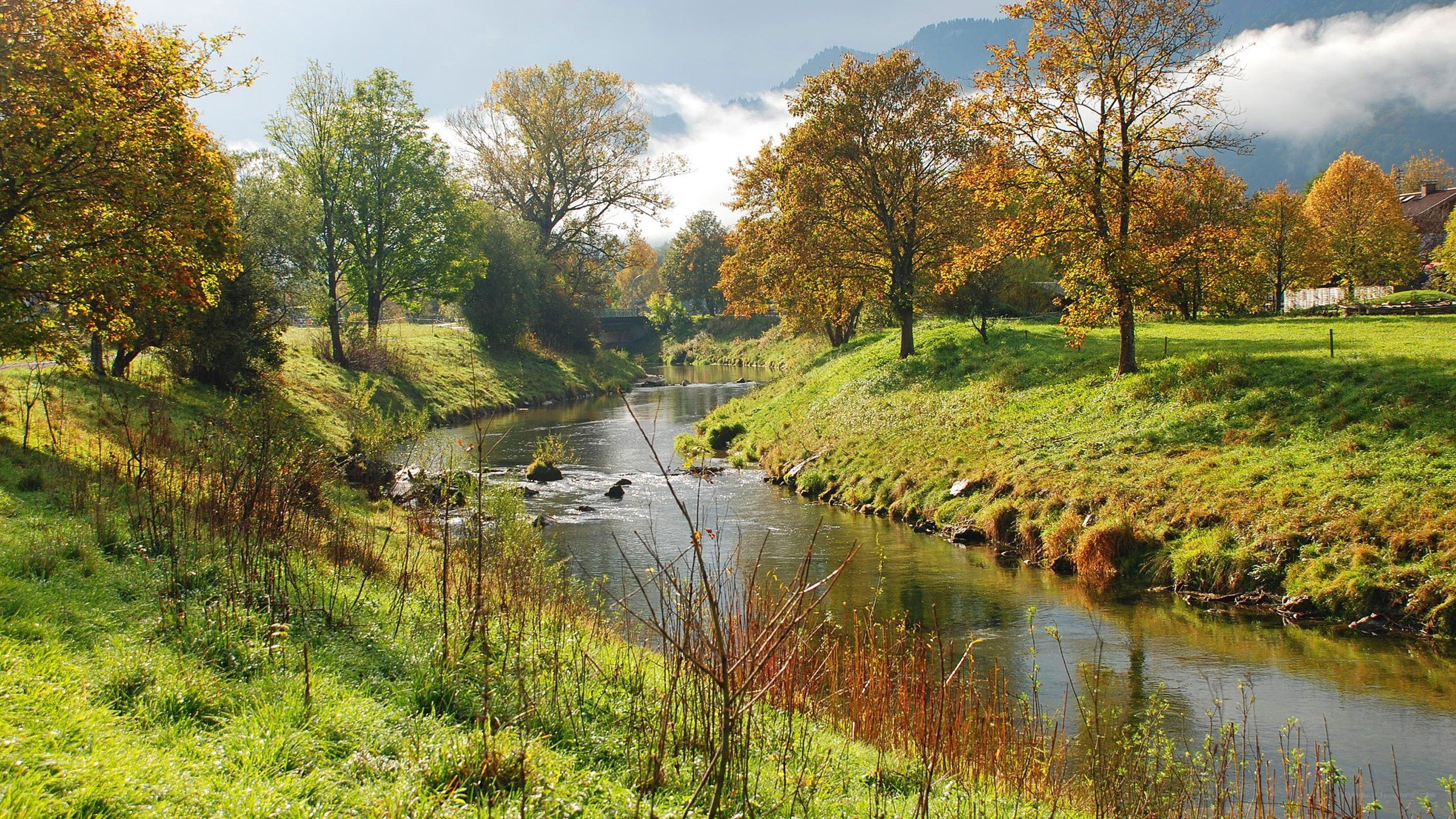 River in autumn landscape