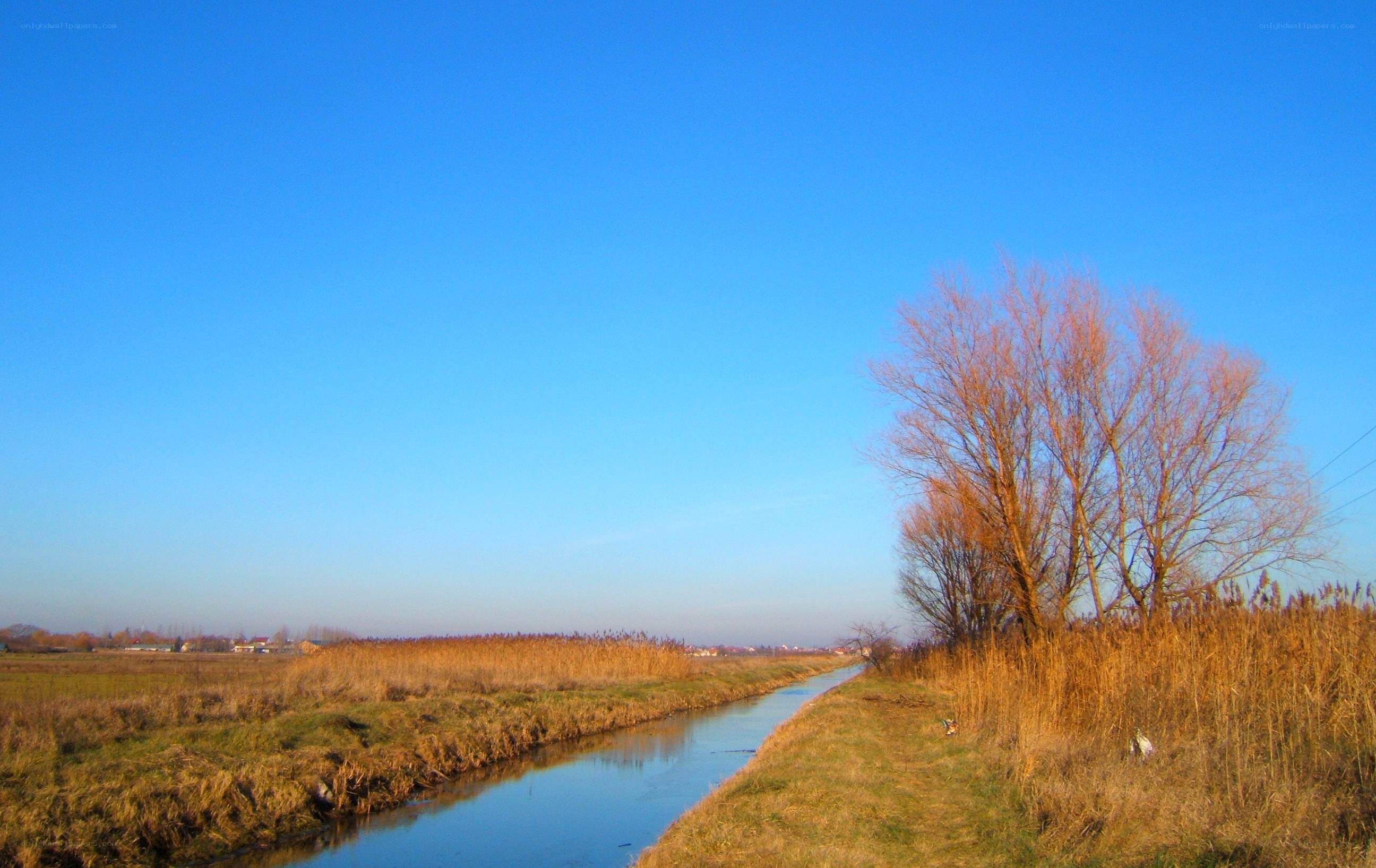 River in autumn landscape