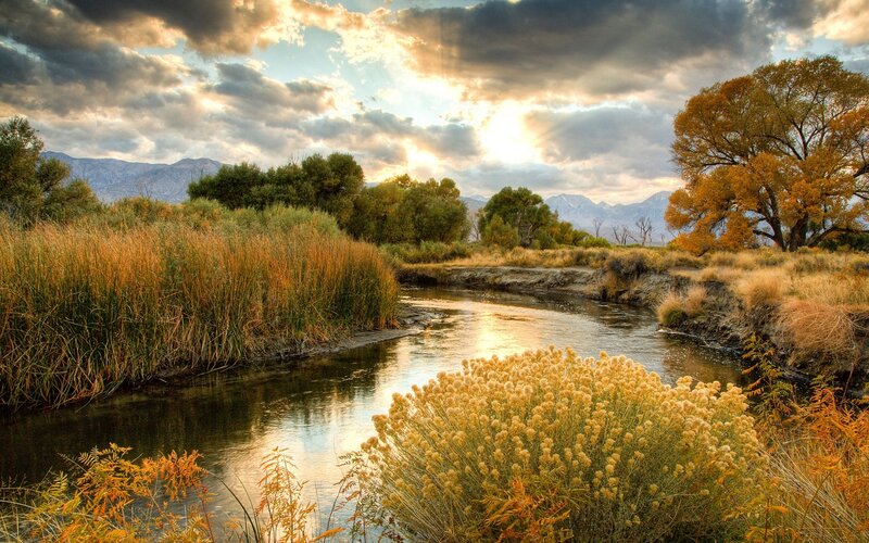 River in Autumn Landscape — Golden, Serene