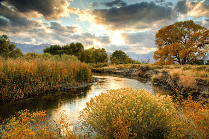River in Autumn Landscape — Golden