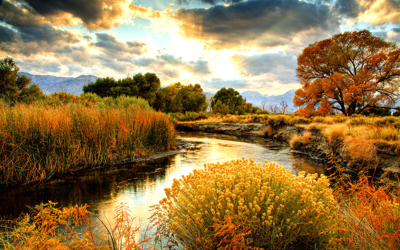 River in Autumn Landscape — Orange
