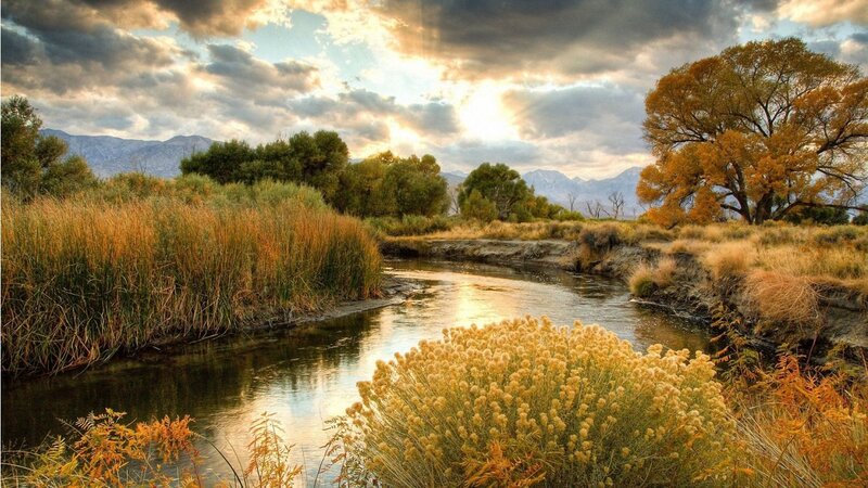 River in Autumn Landscape — Yellow, Serene