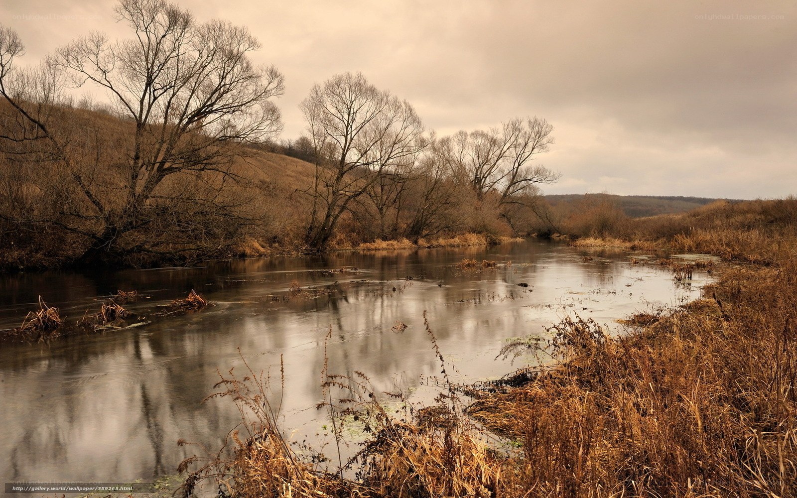 River in autumn landscape