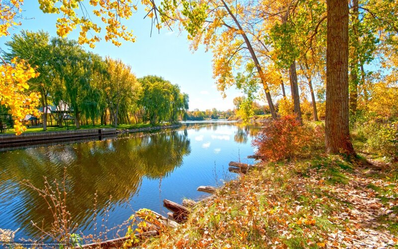 River in Autumn Park — Blue, Serene