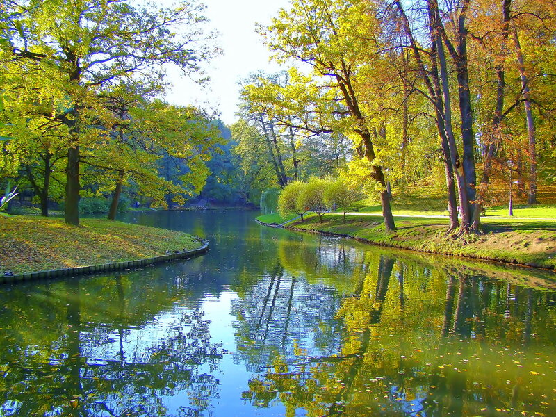 River in Autumn Park — Green