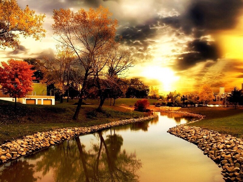 River in Autumn Park — Yellow