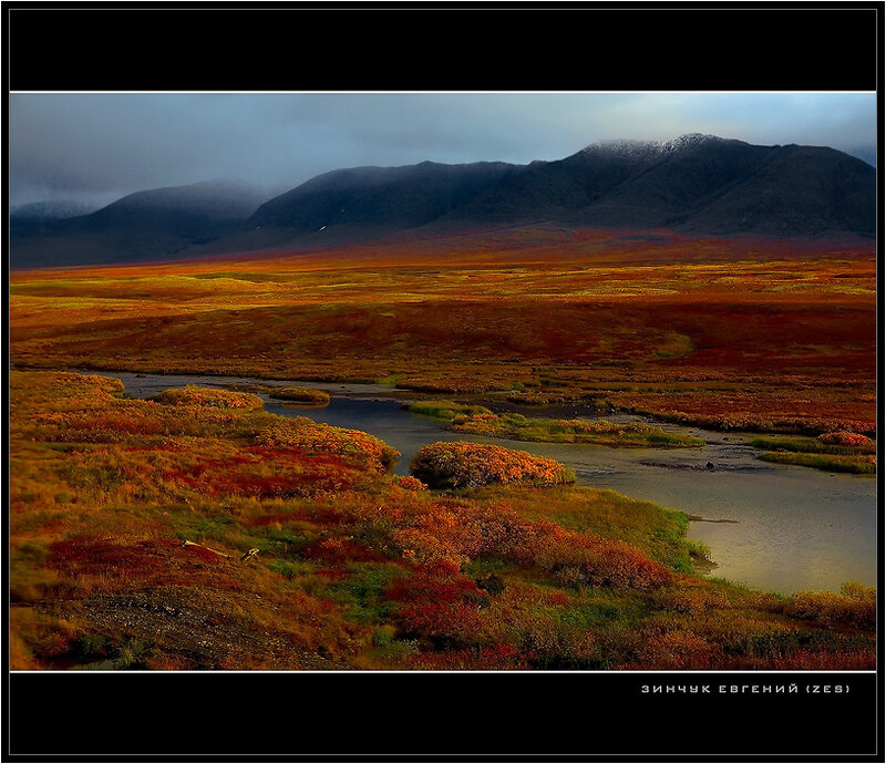 River in Autumn Tundra