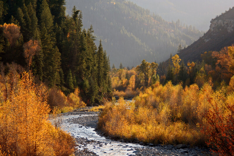 River in Autumn Valley — Gold