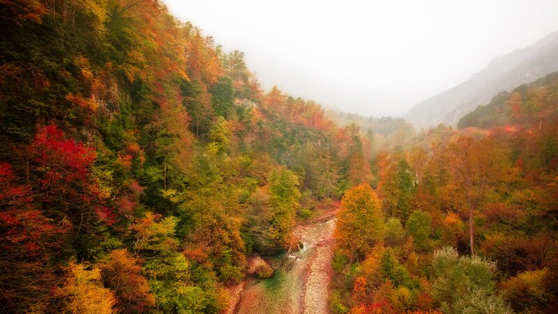 River in Autumn Valley — Orange, Serene, Photograph