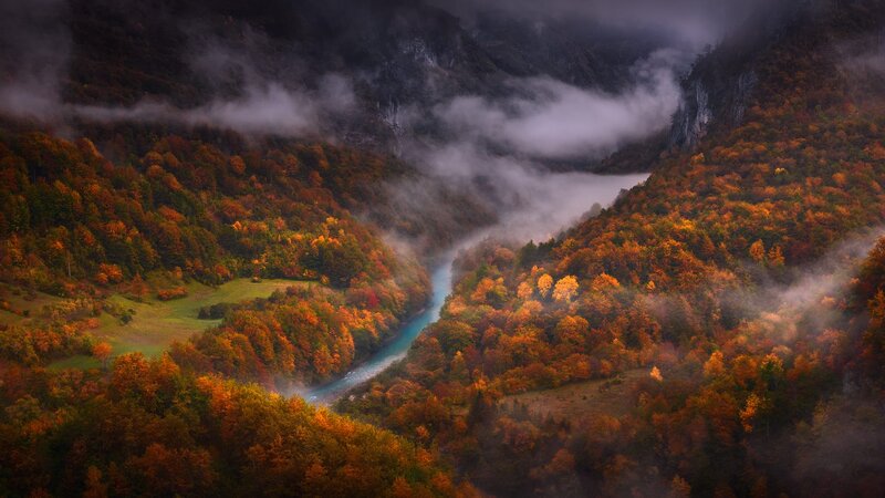 River in Autumn Valley — Orange, Serene, Photograph, Trees, Fog