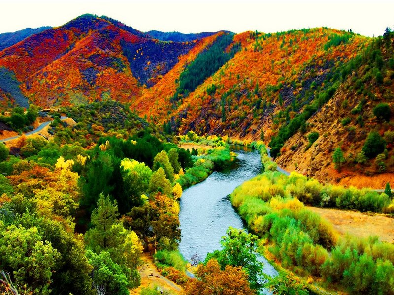 River in Autumn Valley — Orange, Serene