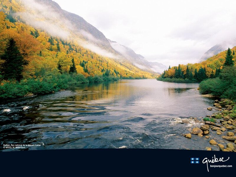 River in Autumn Valley — Yellow, Serene