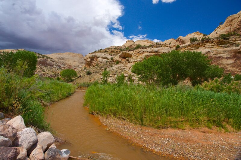 River in Canyon — Blue, Dramatic, Afternoon, Photograph, Trees, Rocks