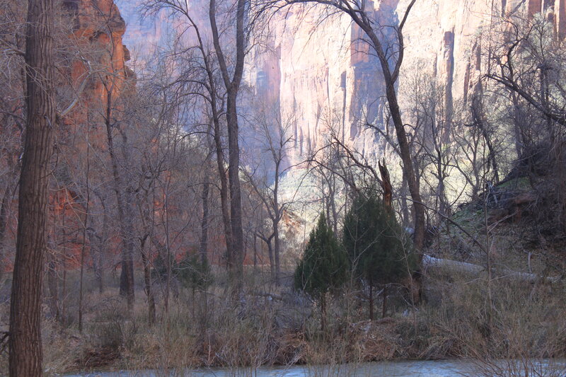 River in Canyon — Brown, Serene, Winter