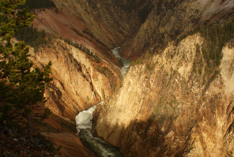 River in Canyon — Brown