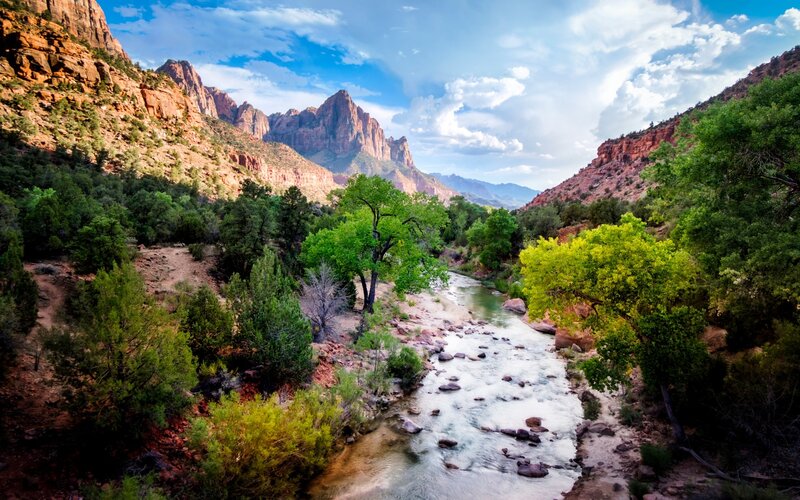River in Canyon — Green, Serene, Afternoon, Photograph, Trees, Rocks