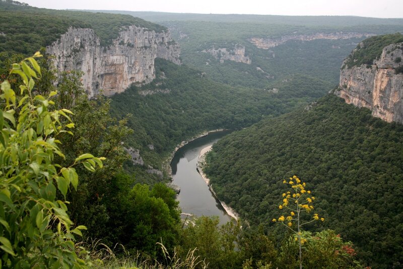 River in Canyon — Green, Serene, Photograph, Trees, Cliffs