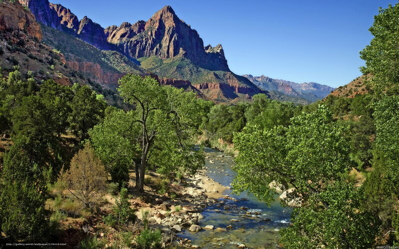 River in Canyon Landscape — Green, Serene, Afternoon