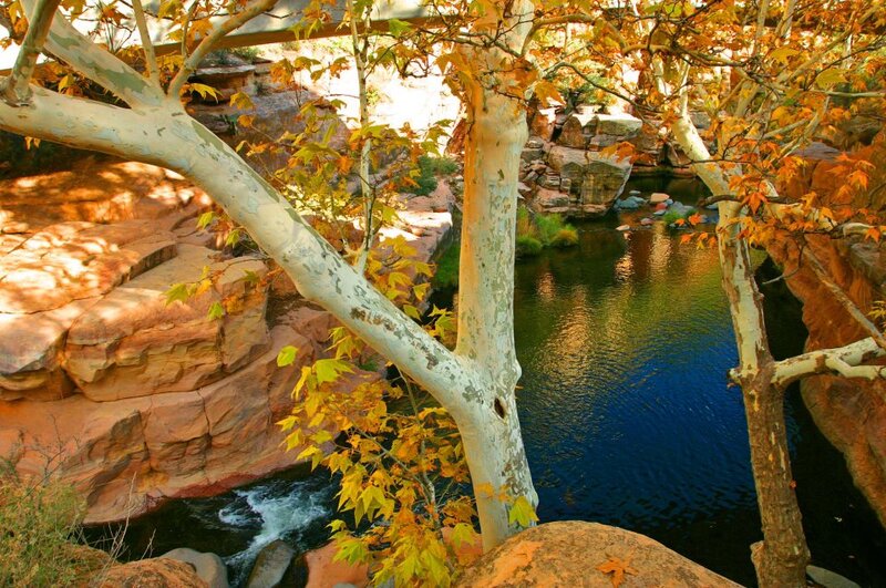River in Canyon with Trees