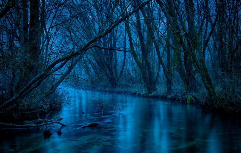 River in Dark Forest — Blue