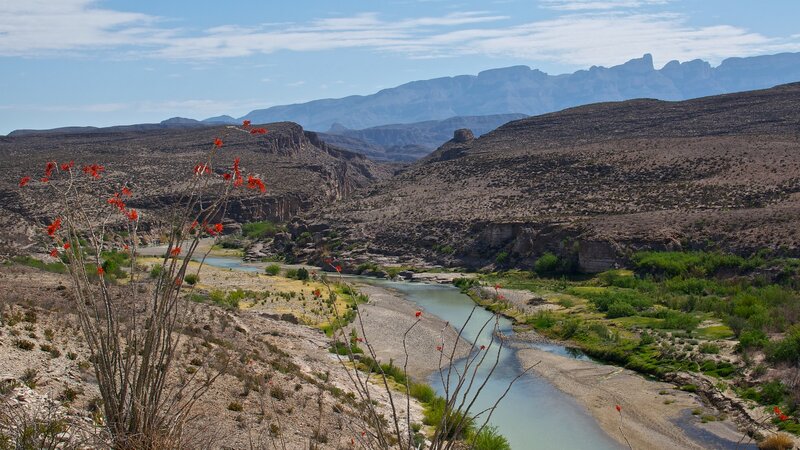 River in Desert Canyon — Brown, Serene