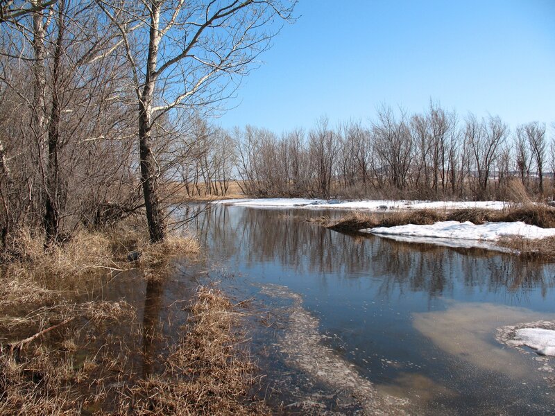 River in early spring