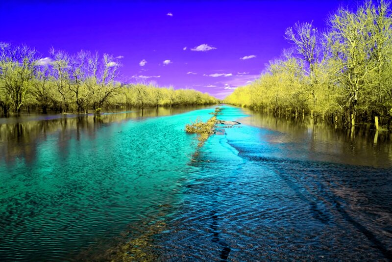 River in Flooded Forest