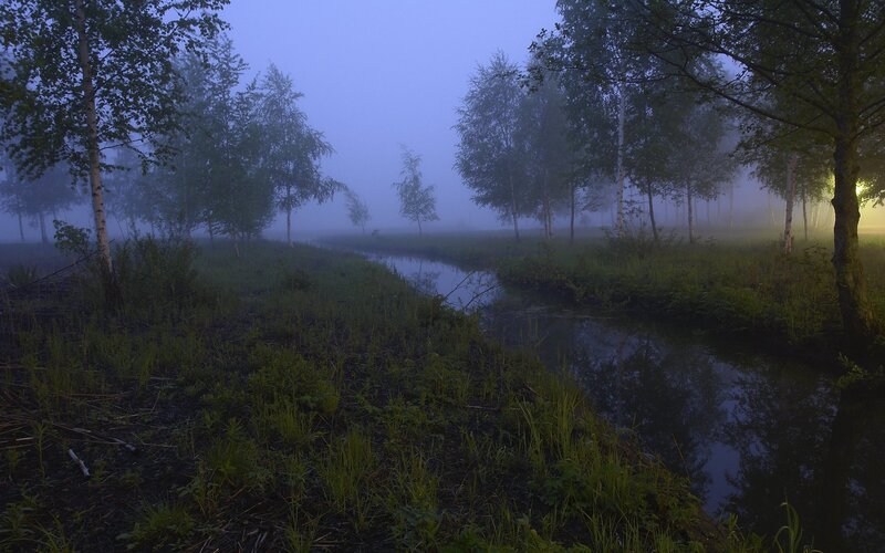 River in Foggy Forest — Blue, Misty