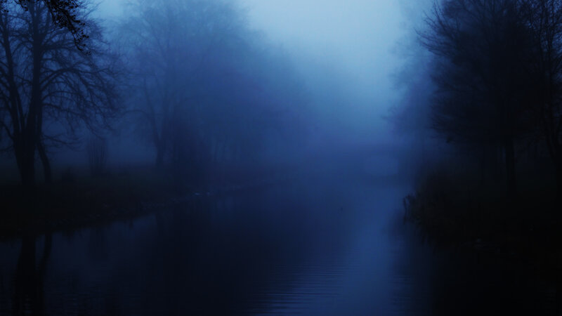 River in Foggy Forest — Blue