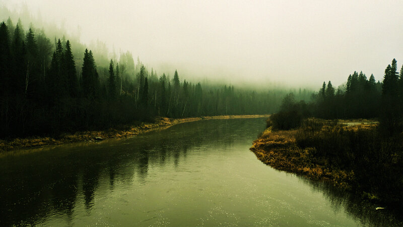 River in Foggy Forest — Green