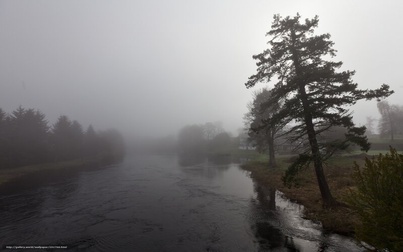 River in Foggy Landscape — Gray