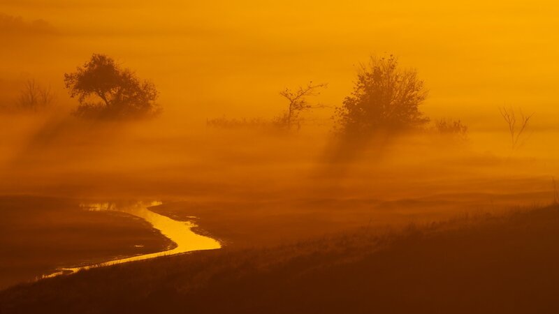 River in Foggy Landscape — Orange