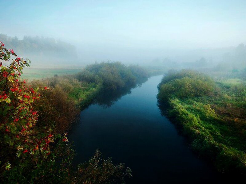 River in Foggy Morning