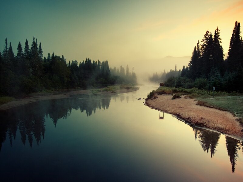 River in Forest at Dawn — Blue