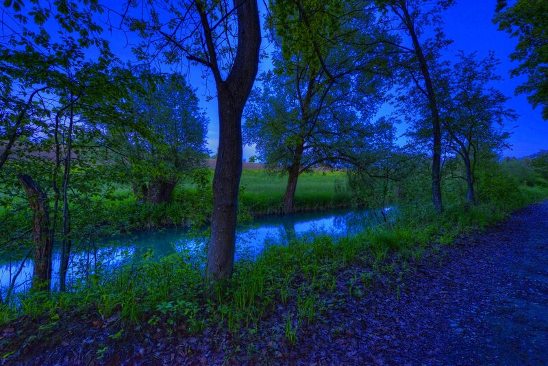 River in Forest at Dusk