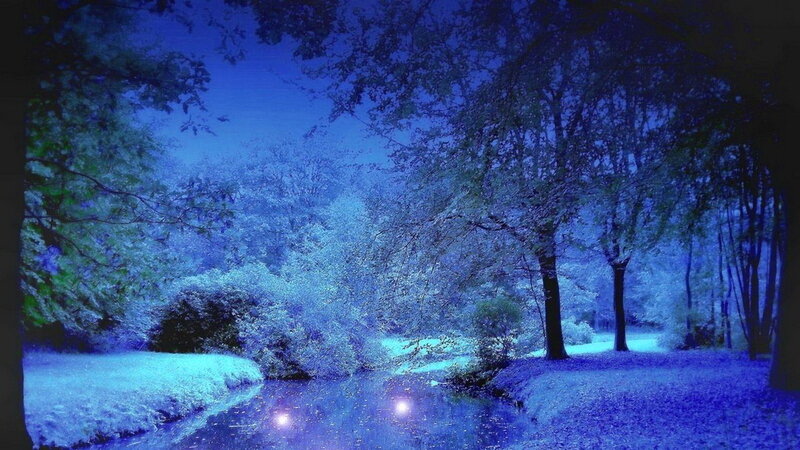 River in Forest at Night