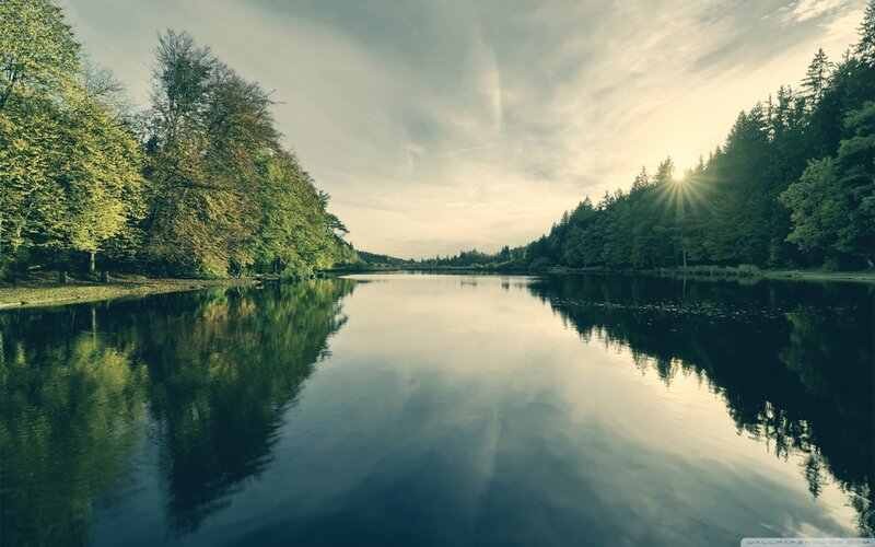 River in Forest at Sunrise