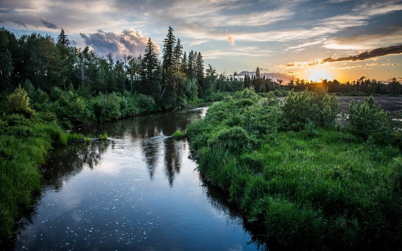River in Forest at Sunset — Green