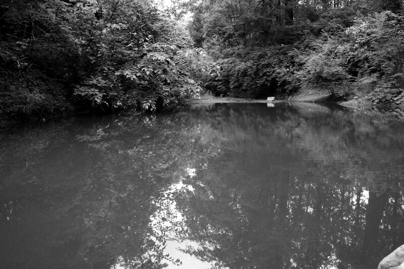 River in Forest — Black